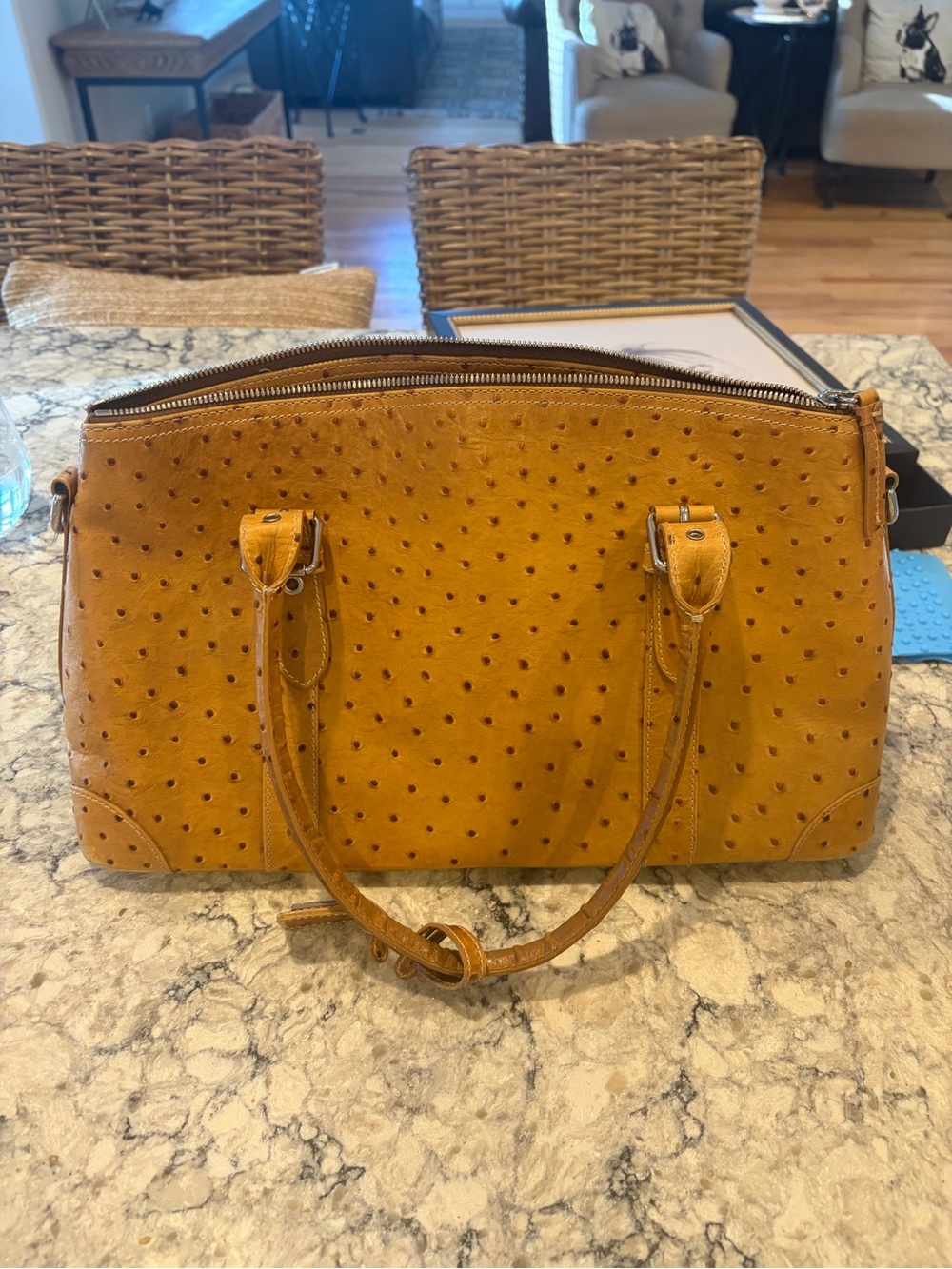 Dooney & Bourke Ostrich Leather Purse